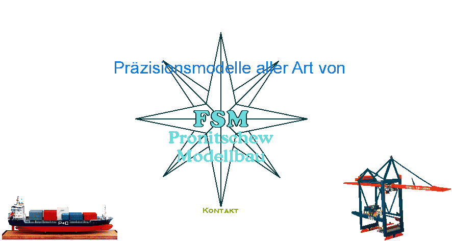FSM Logo windrose